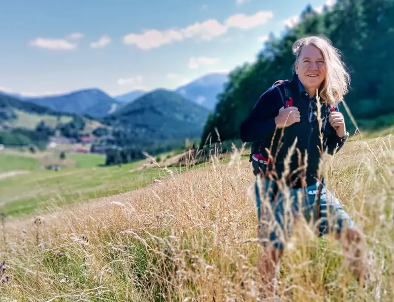 The Pilgrim Traveler